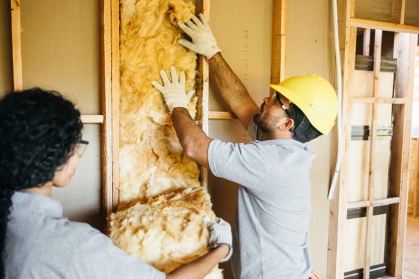 Best Spray Foam Insulation  in Reno, TX